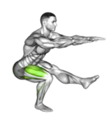 Bodyweight