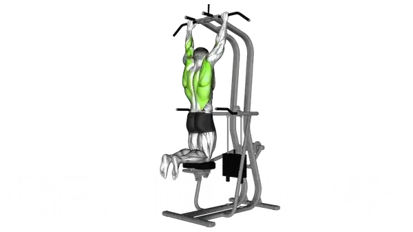 Assisted Pull-Up