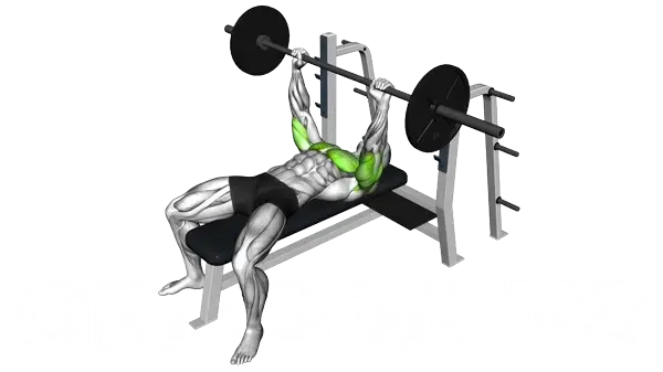 Barbell Bench Press — Step 2