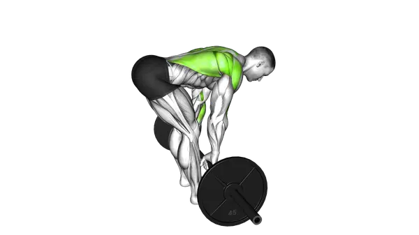 Barbell Bent Over Row