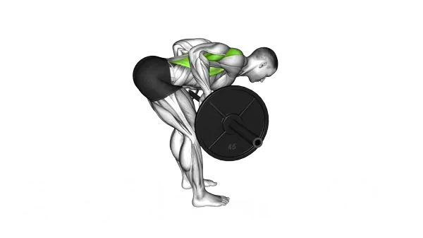 Barbell Bent Over Row — Step 2