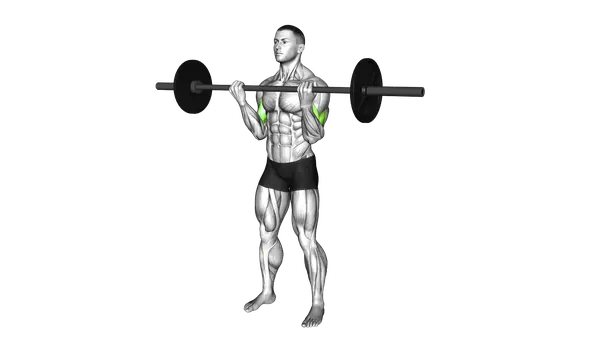 Barbell Curl