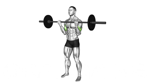 Barbell Curl — Step 2