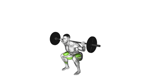 Barbell Squat