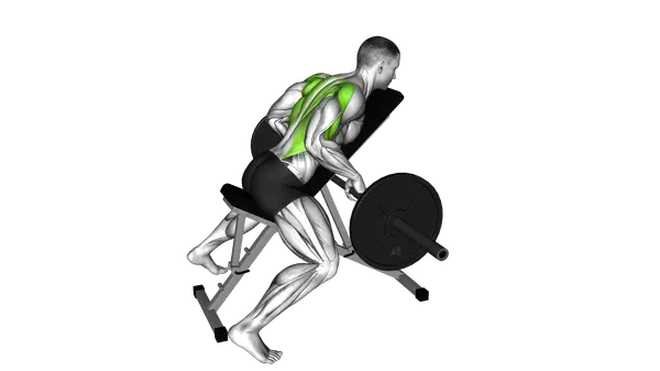 Incline Bench Barbell Row