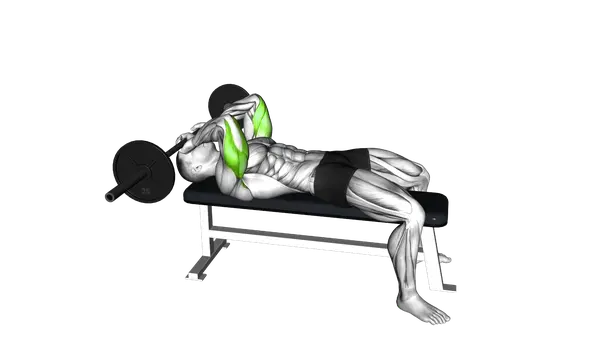 Lying Barbell Tricep Extension (Skull Crusher)