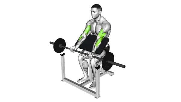 Barbell Preacher Curl