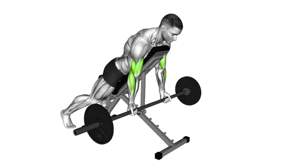Prone Incline Barbell Curl