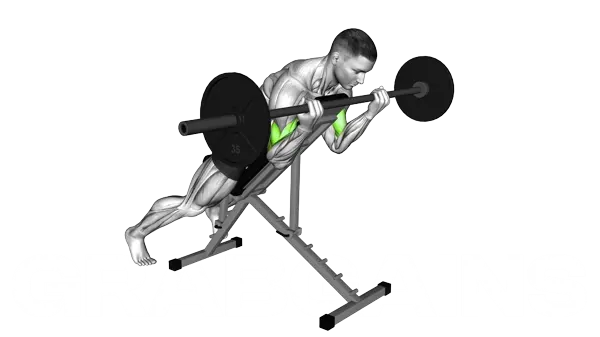 Prone Incline Barbell Curl — Step 2