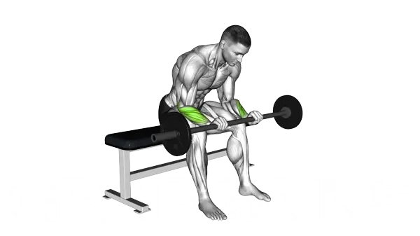 Barbell Wrist Reverse Curl — Step 2