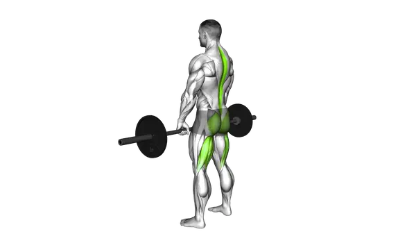 Barbell Romanian Deadlift