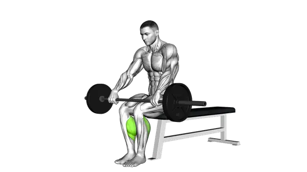 Barbell Seated Calf Raise