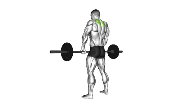 Barbell Shrug