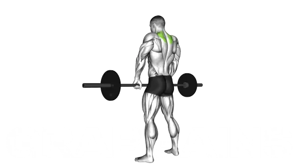 Barbell Shrug — Step 2