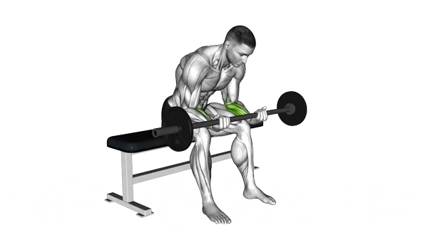 Barbell Wrist Curl — Step 2
