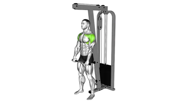 Cable Front Raise