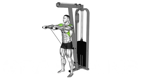 Cable Front Raise — Step 2