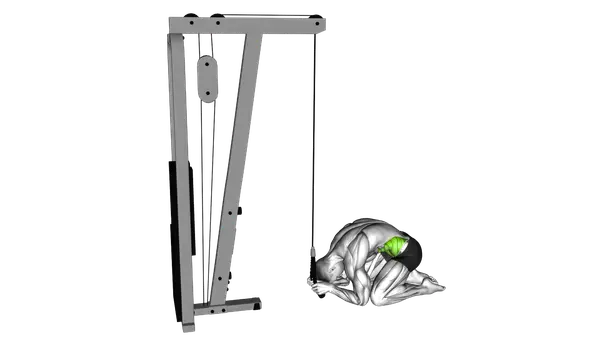 Cable Kneeling Crunch
