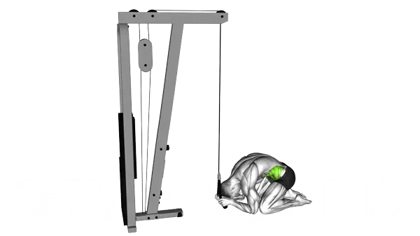 Cable Kneeling Crunch — Step 2