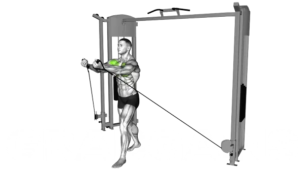 Cable Low to High Cable Fly — Step 2