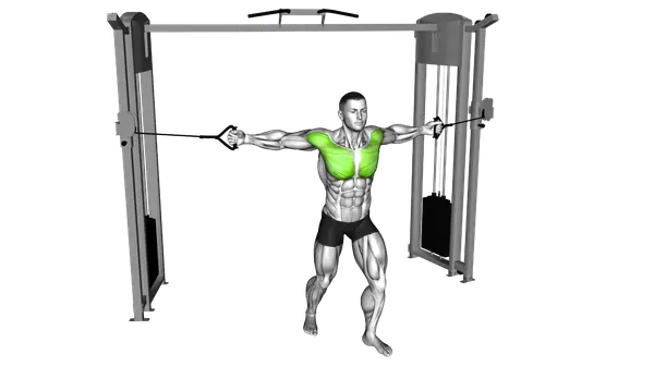 Middle Cable Chest Fly