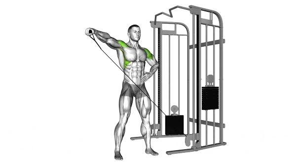 Cable One Arm Lateral Raise — Step 2