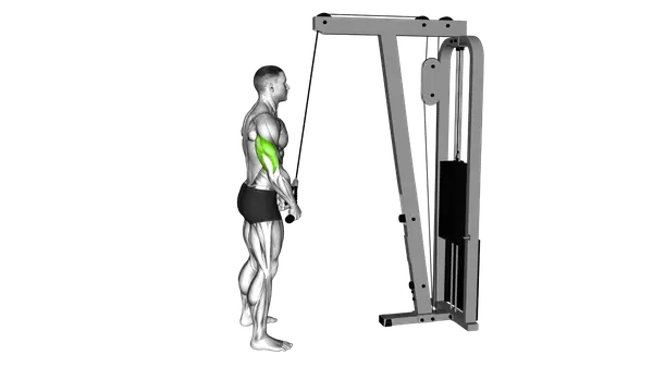 Rope Tricep Extension
