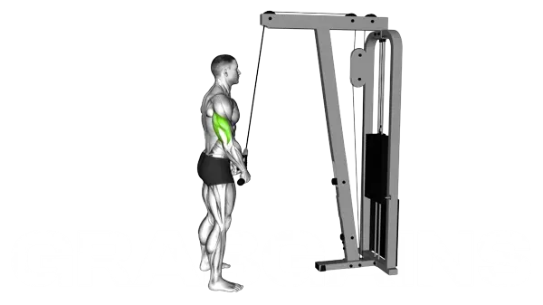 Rope Tricep Extension — Step 2