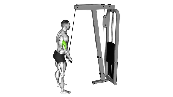 Tricep Pushdown (Cable)