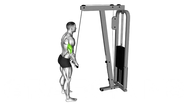 Tricep Pushdown (Cable) — Step 2