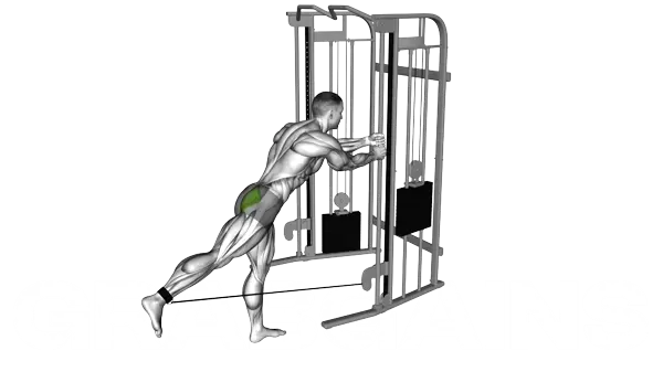 Cable Standing Hip Extension — Step 2