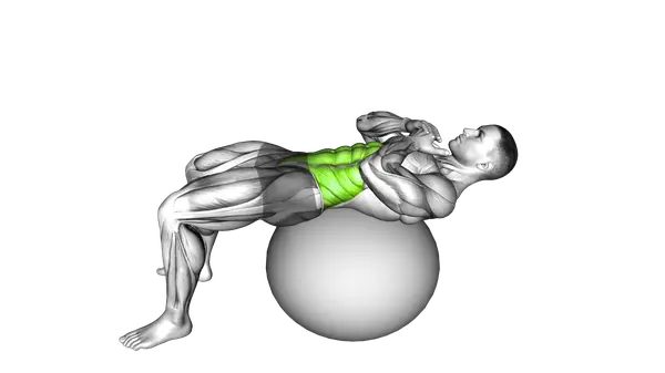 Crunch (On Stability Ball)