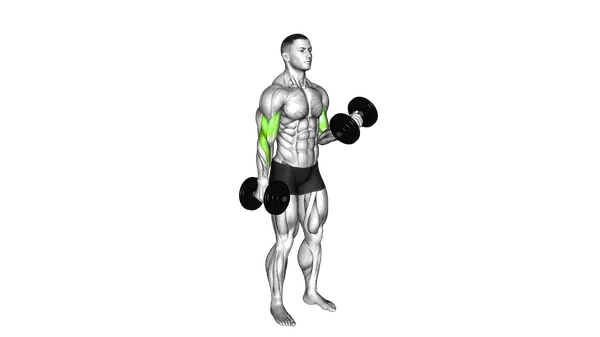 Alternate Standing Dumbell Curl