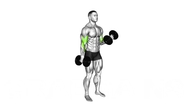 Alternate Standing Dumbbell Curl — Step 2