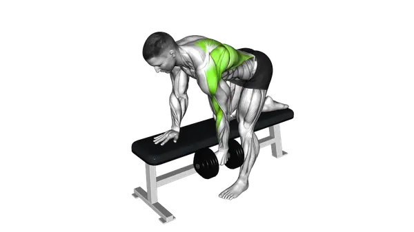 Dumbbell Single Arm Bent Over Row