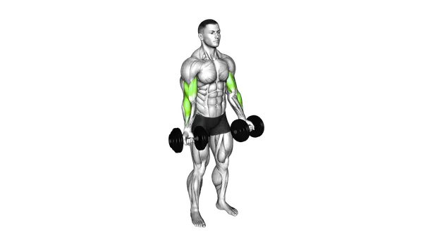 Dumbbell Biceps Curl