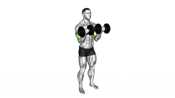 Dumbbell Biceps Curl — Step 2