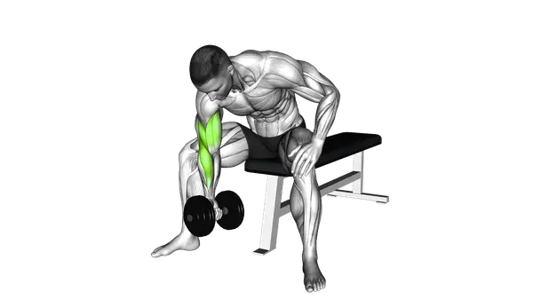 Dumbbell Concentration Curl