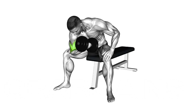 Dumbbell Concentration Curl — Step 2