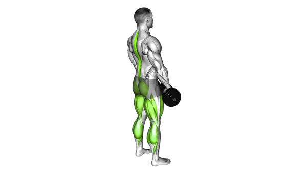 Dumbbell Deadlift