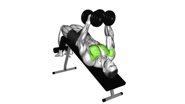 Dumbbell Decline Fly