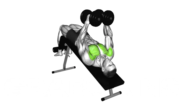 Dumbbell Decline Fly — Step 2