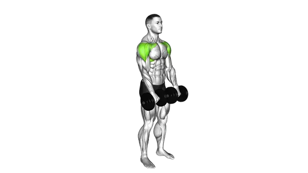 Dumbbell Front Raise