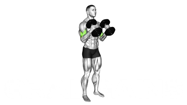Dumbbell Hammer Curl — Step 2