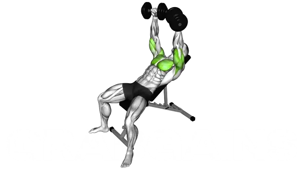 Dumbbell Incline Chest Press — Step 2