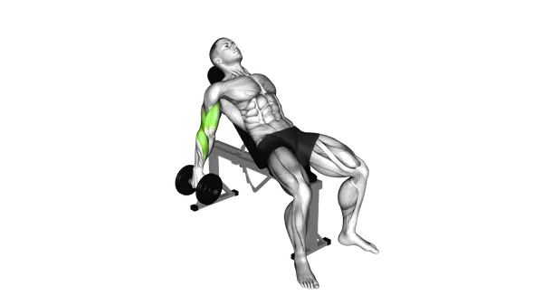 Dumbbell Incline Biceps Curl