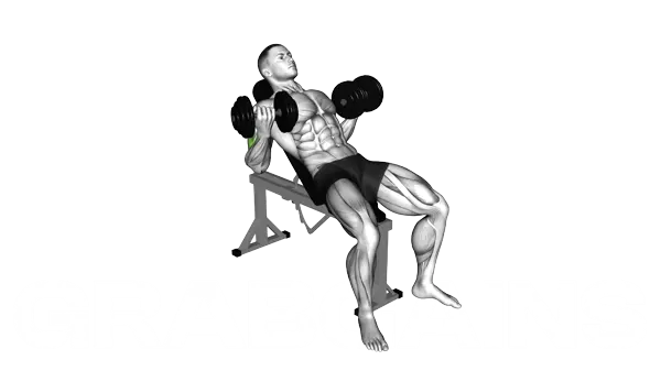 Dumbbell Incline Biceps Curl — Step 2