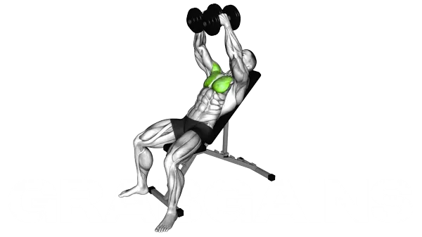 Incline Dumbbell Fly — Step 2