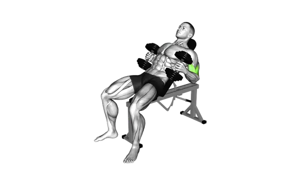 Dumbbell Incline Hammer Curl