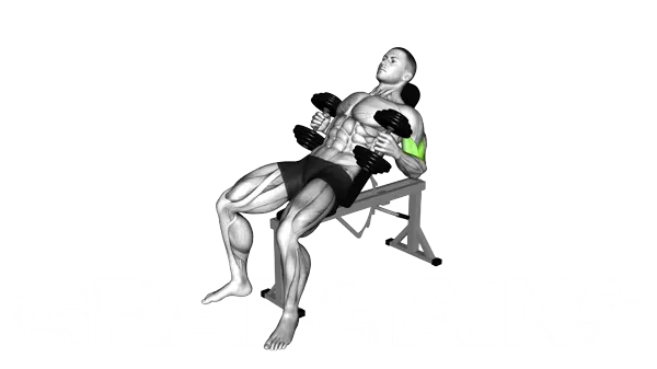 Dumbbell Incline Hammer Curl — Step 2